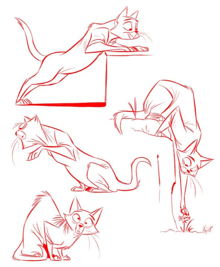 Коты Воители анатомия поз