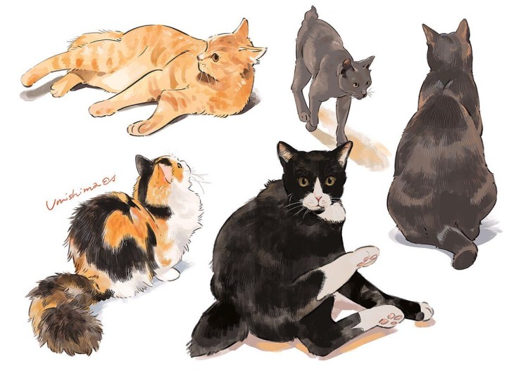 Животные в мультяшном стиле