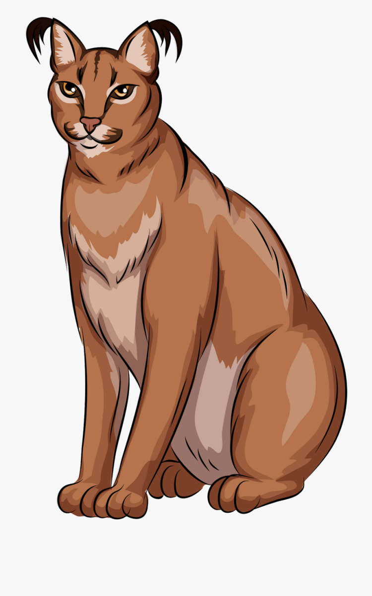 Каракал мультяшный