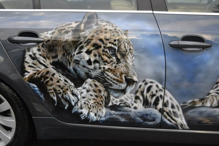 Каракал оскаленный