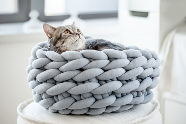 Вязаная корзинка для кошки