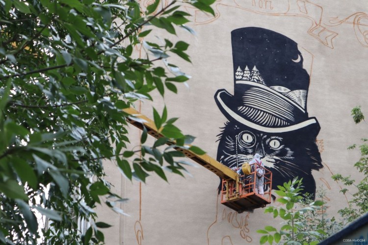 Когда поссорился с котом