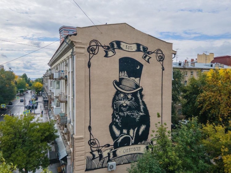 Котик обиделся и отвернулся