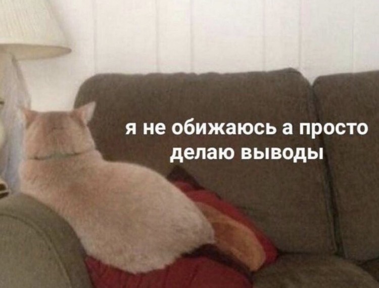 Кот уткнулся мордой в пол