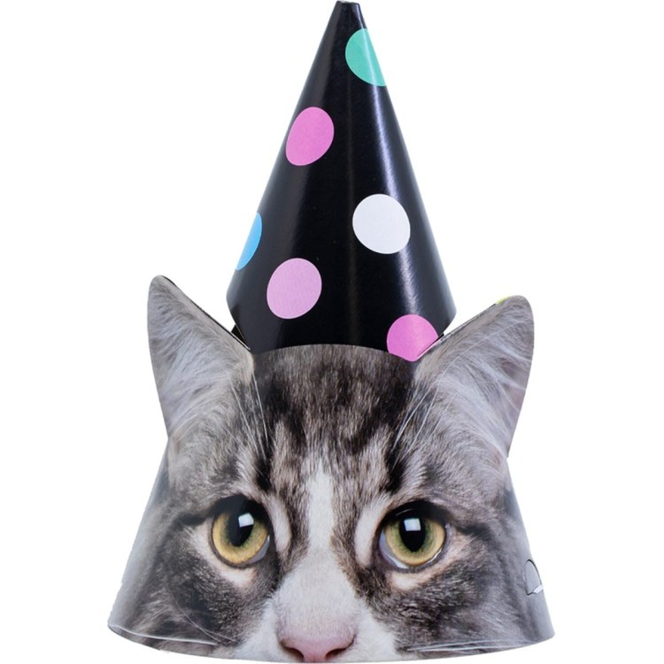 Кот в праздничном колпачке
