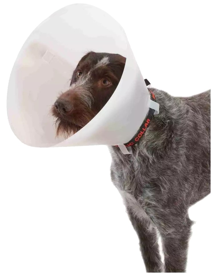 Колпачок кошки 6шт