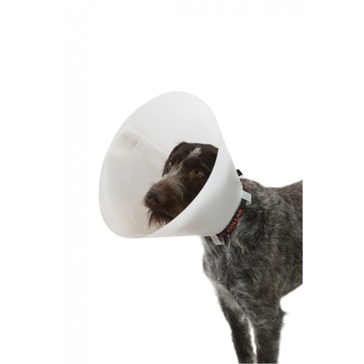 1501-4986 Колпак котики 6шт/g