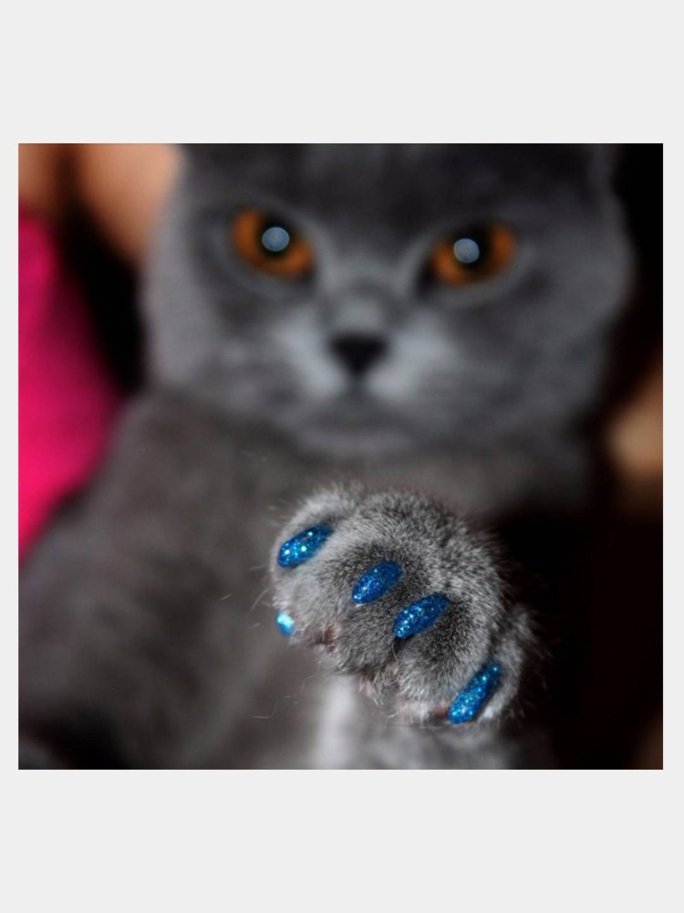 Антицарапки для кошек