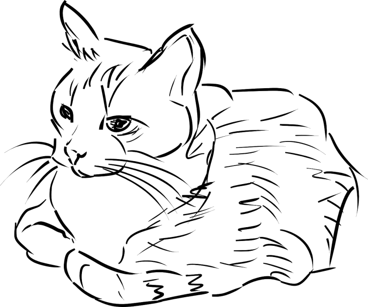 Кошка рисунок карандашом
