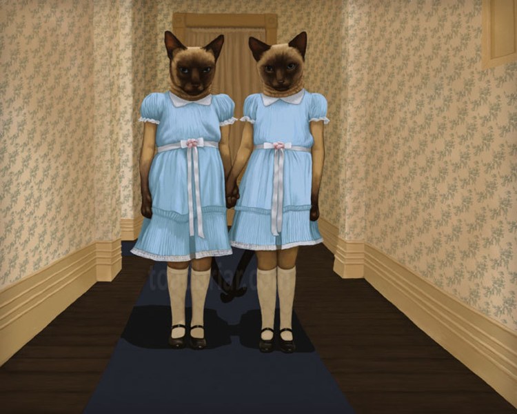 Котики близняшки