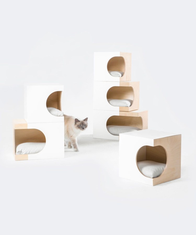 Креативные домики для кошек