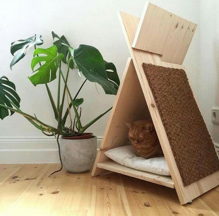 Креативные домики для кошек
