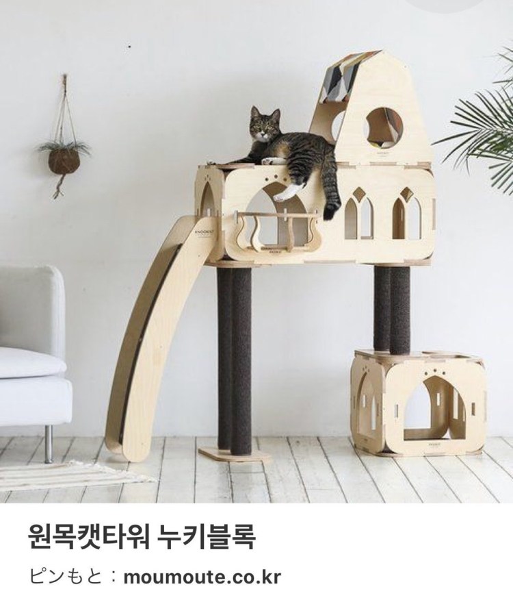 Креативные домики для кошек