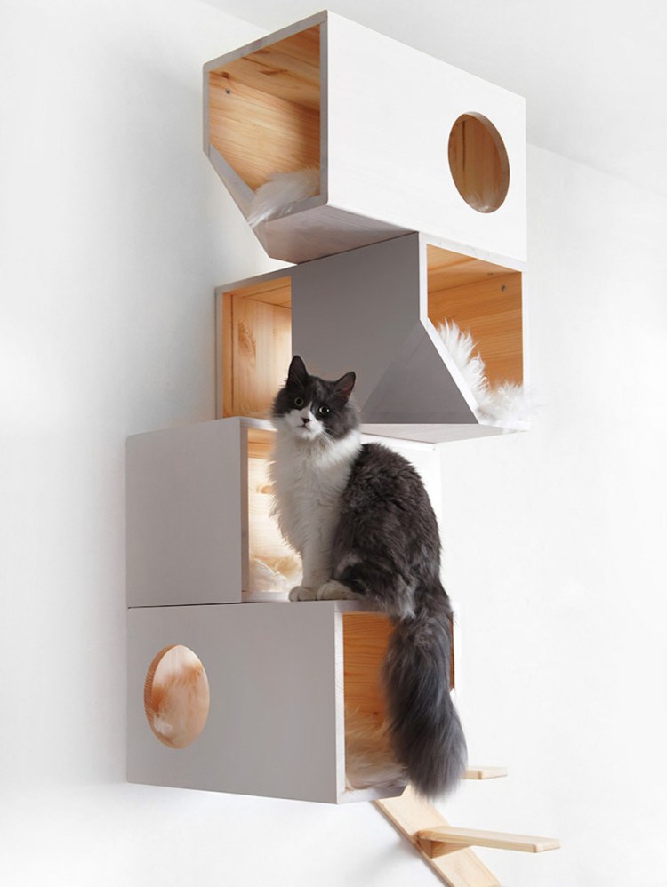 Дизайнерские кошачьи домики