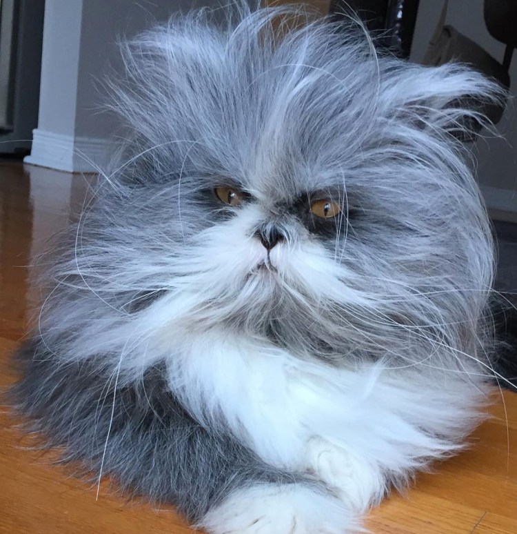 Атчум (Чихун)