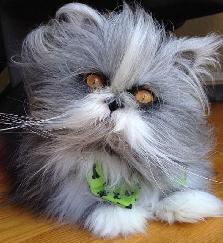 Канадский Атчум