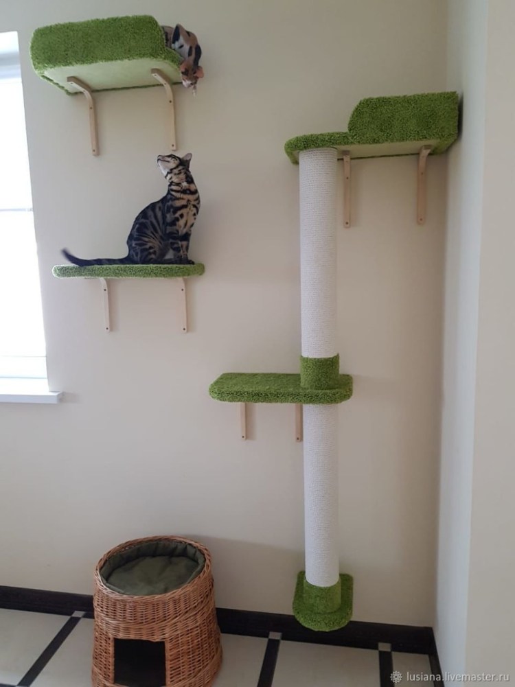 Кошачий домик настенный