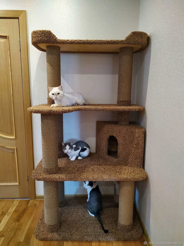 Настенный комплекс для кошек