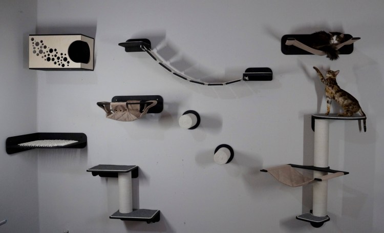 Настенный кошачий комплекс