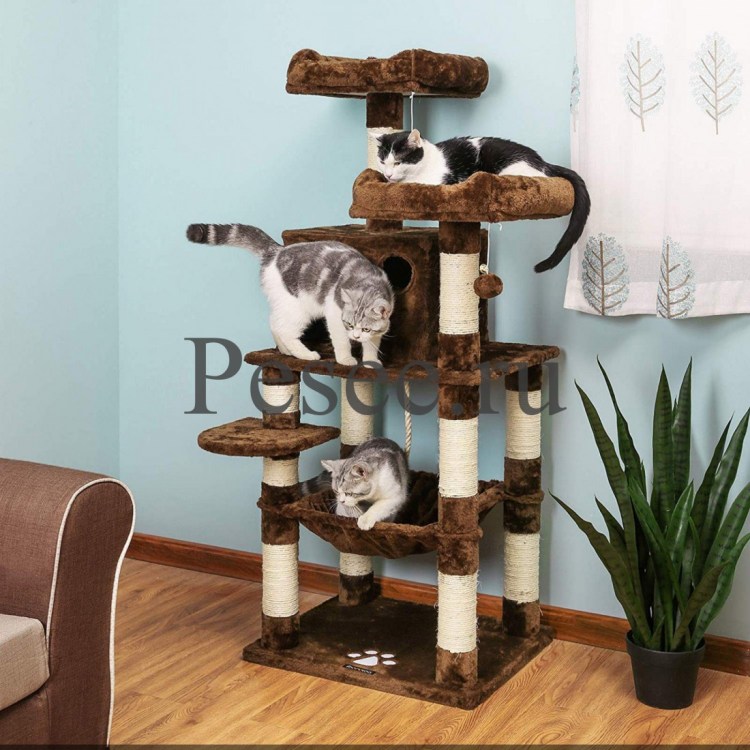 Домик когтеточка «комфорт-большой дом 2х»