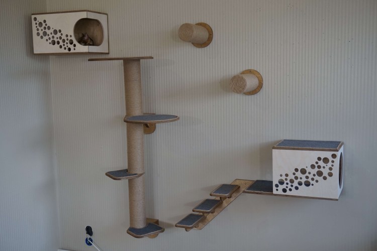 Кошачья лазалка дерево