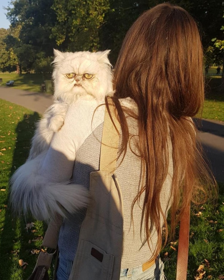 Уилфред Уорриор