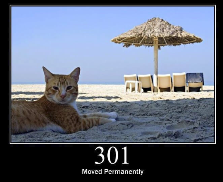 Коты в отпуске