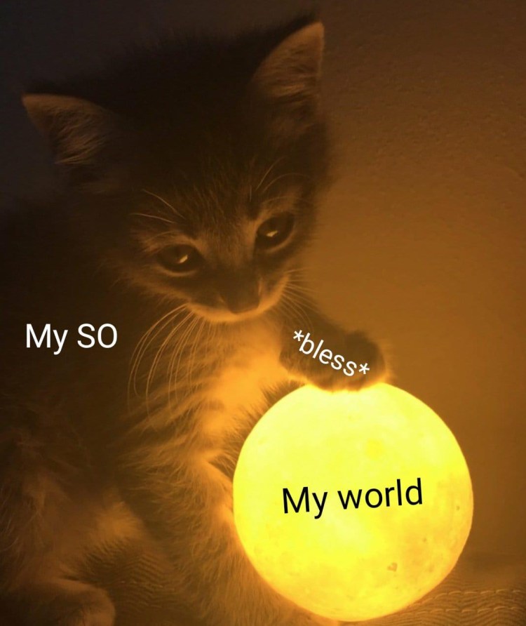 Рыжий кот на море