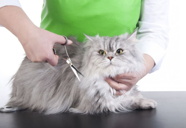 Расческа для срезания колтунов у кошек