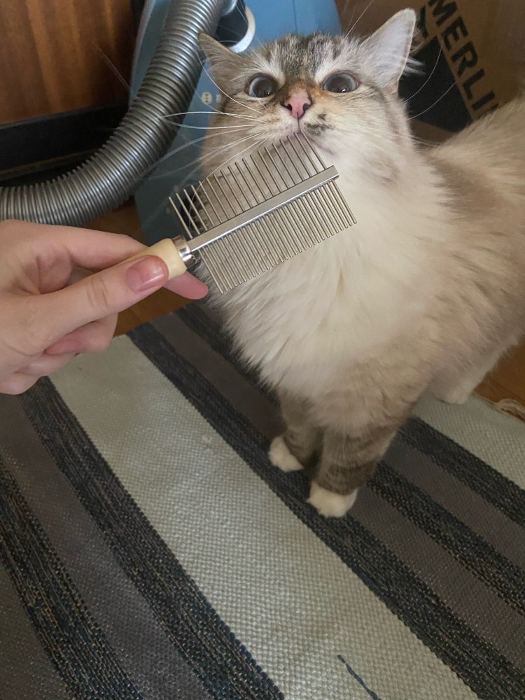 Для вычесывания шерсти у кошек фурминатор