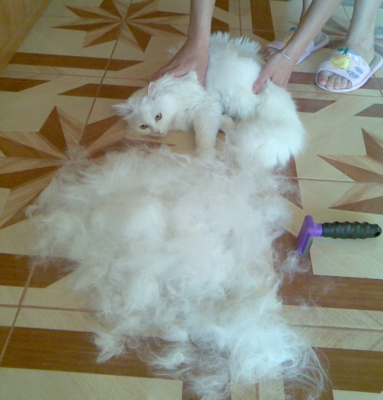 Unhairing фурминатор