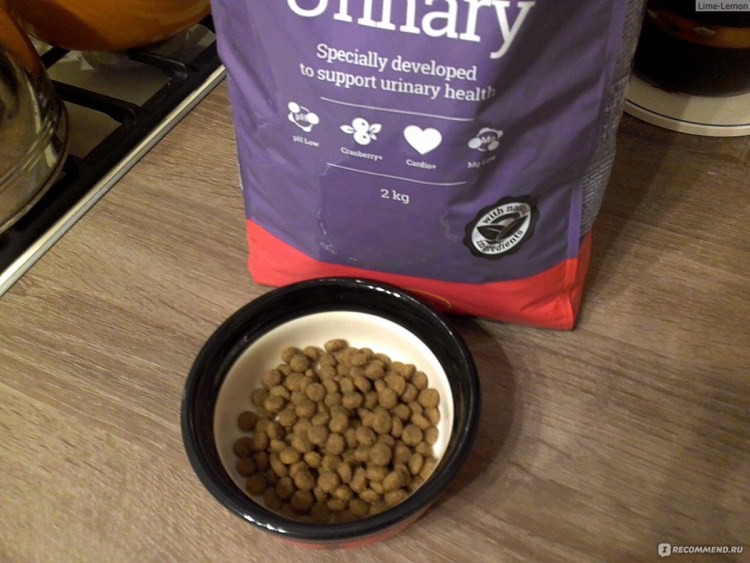 Bozita корм для стерилизованных кошек