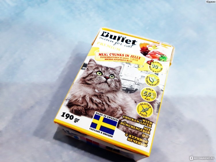 All Cats корм для кошек логотип