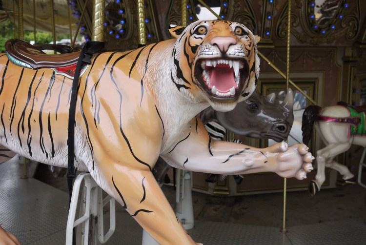 Тигр без шерсти