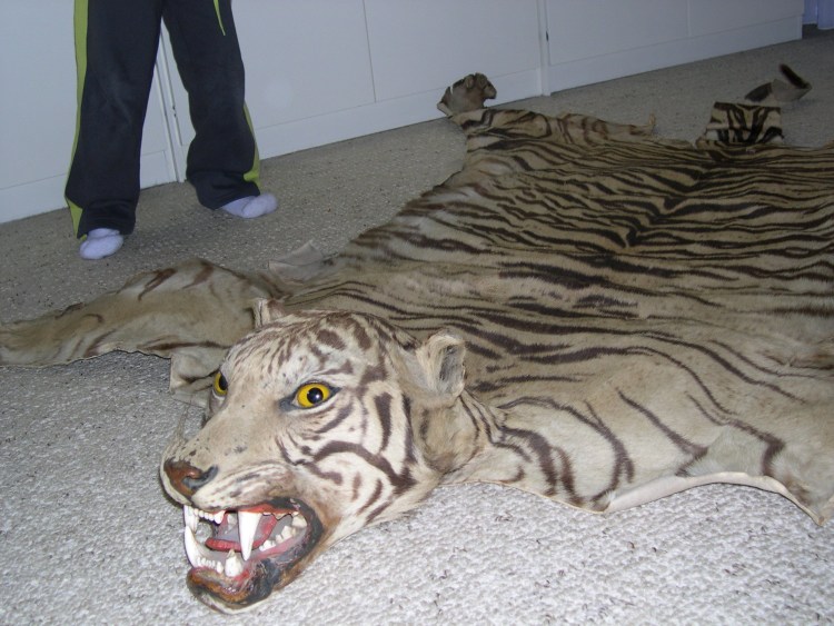 Кожа тигра полосатая