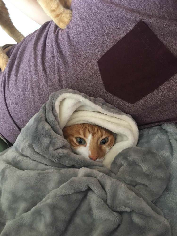 Укутаться под одеялом