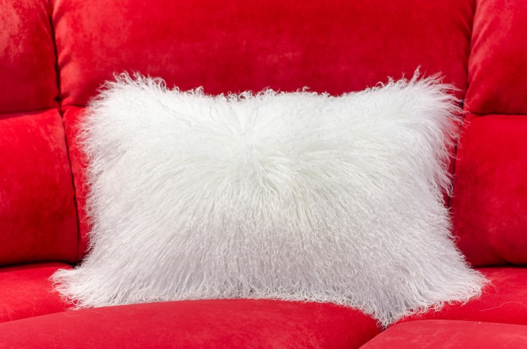 Карликовый хотот