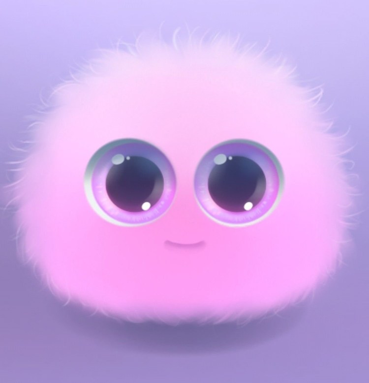 Ангорский кролик