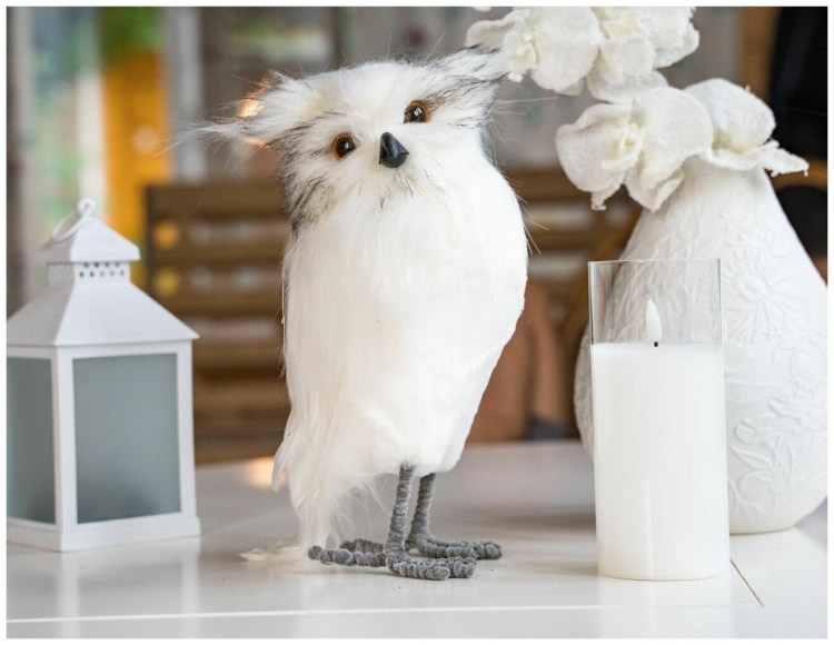 Шпиц померанский карликовый белый