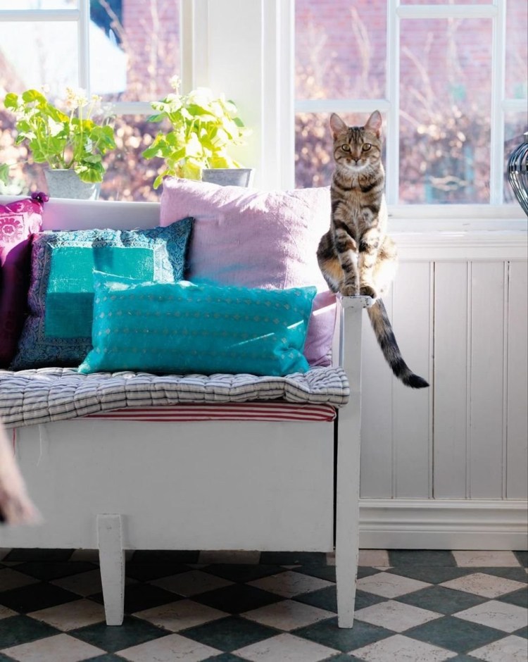 Самые спокойные кошки для квартиры