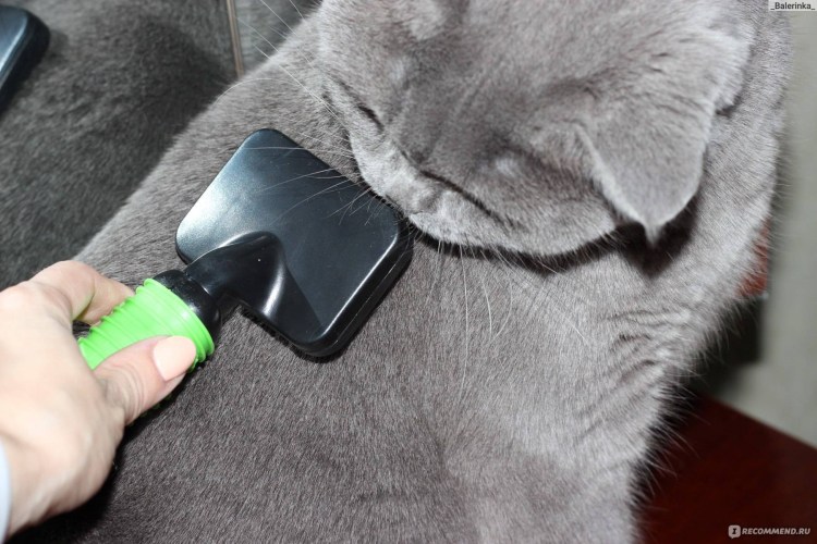 Catit массажер для кошек с креплением к стене (h431528)