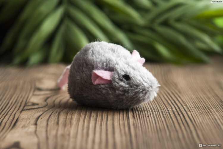 Мышка с приятными кликами