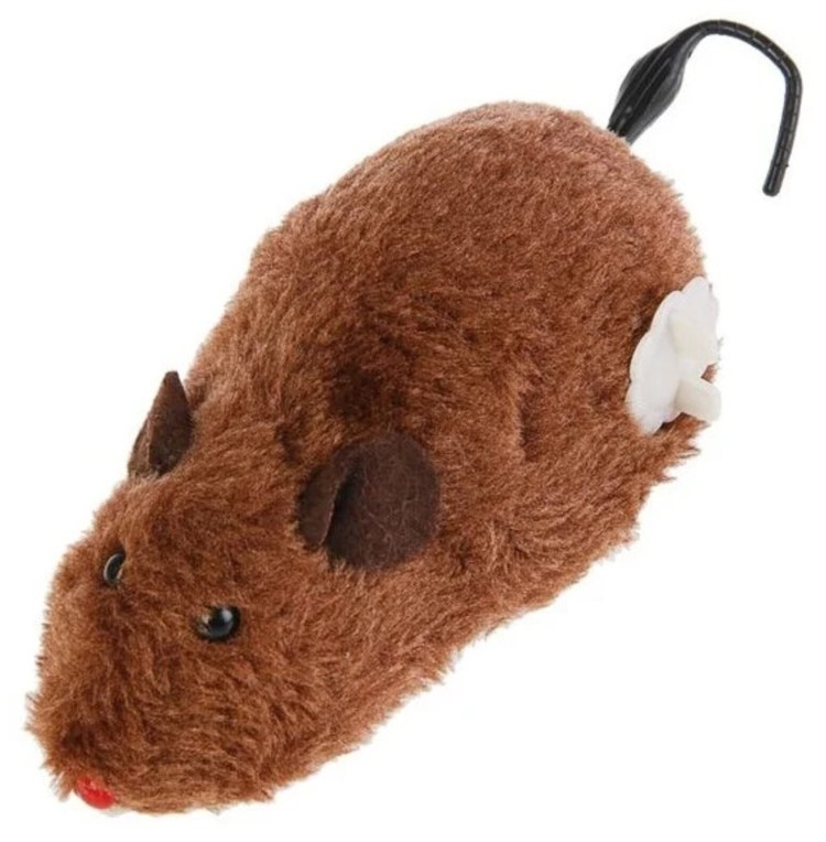 Мышка на пульте управления