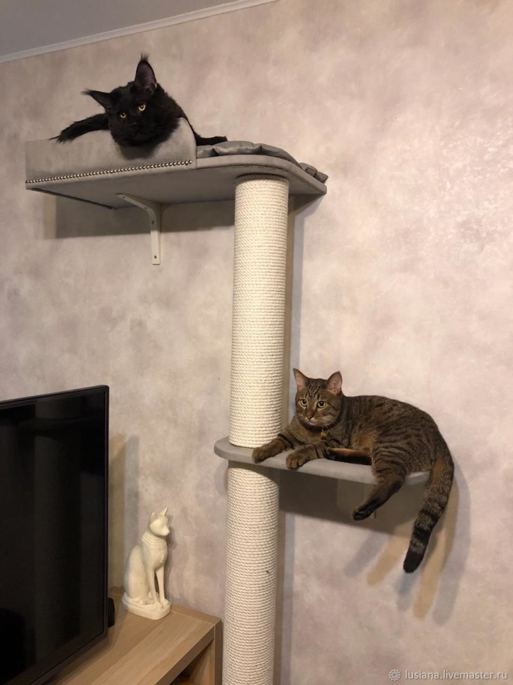 Когтеточки настенные