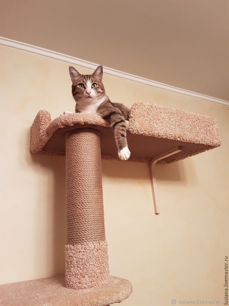 Настенный домик Эверест для кошки