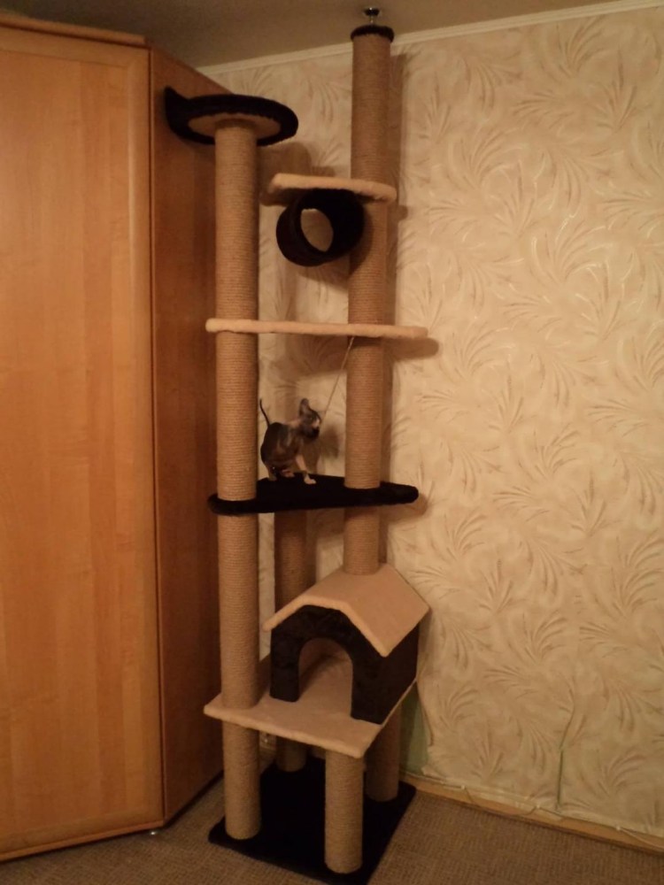 Кошачий домик лазалка