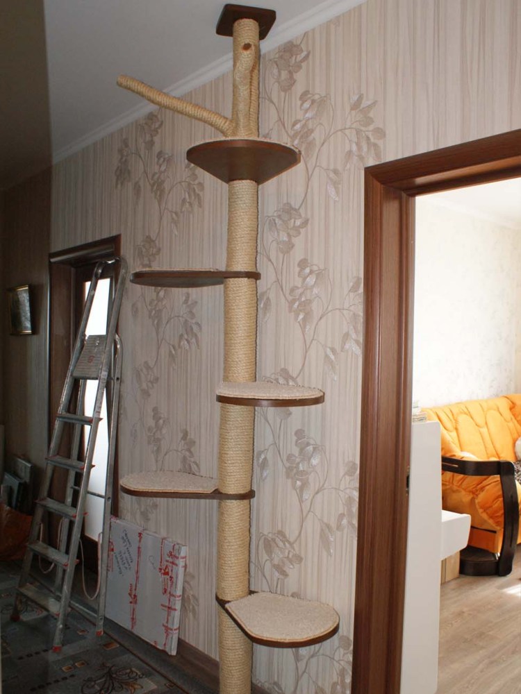 Велес когтеточка Пальма для Мейн-кунов 600х500х800