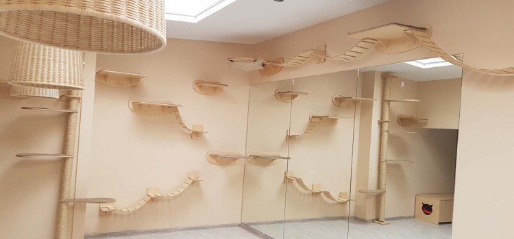 Настенные лазалки для кошек