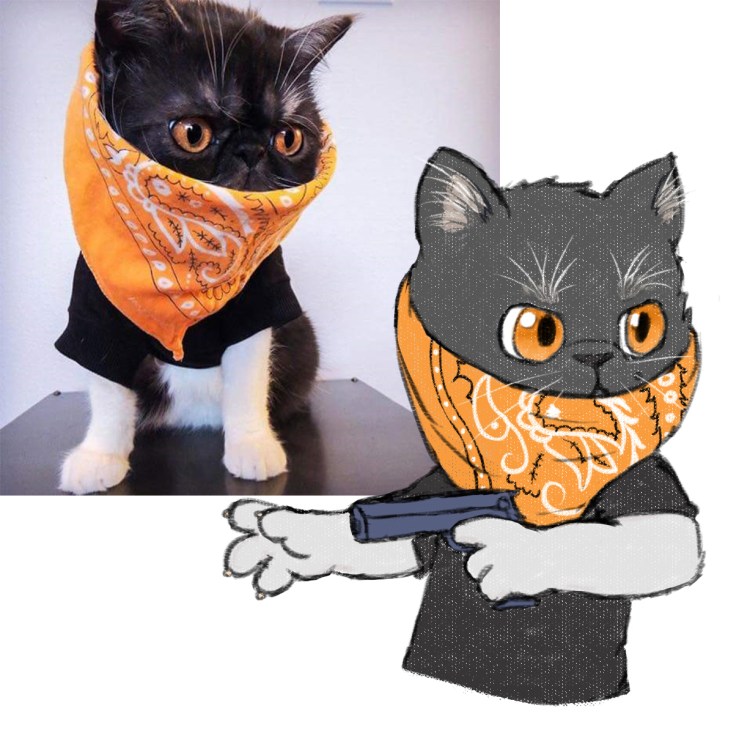 Кот в бандане Крипс