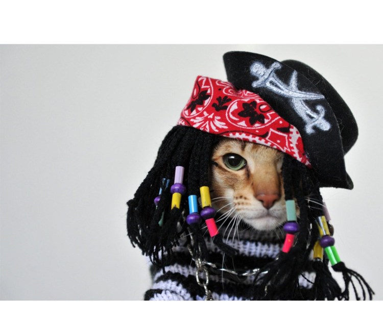 Кот в каске с сигаретой